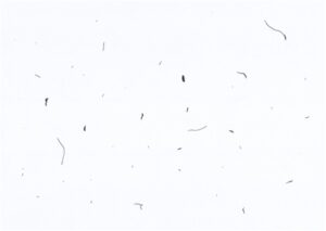 【OpenCV-Python】ラベリング(connectedComponents) | イメージングソリューション